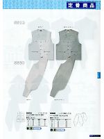 2012 春夏物「BIG RUN（ビッグラン） SHINMEN」のカタログ127ページ(snmb2011s127)