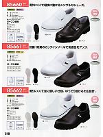 2023 年間物「XEBEC」のカタログ210ページ(xebc2011s210)