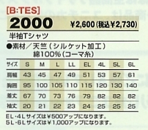 2000 半袖Tシャツ(10廃番)のサイズ画像