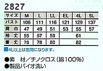 2827 長袖シャツのサイズ画像