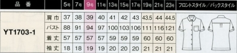 YT1703 ブラウスのサイズ画像