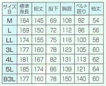 20 ツナギ(ブルーストライプ)廃のサイズ画像