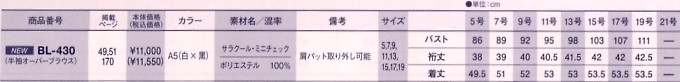 BL430 オーバーブラウス(15廃番)のサイズ画像