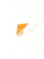 9-283 三角巾(アプリコット/オレンジ
