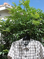 ユニフォーム S59668