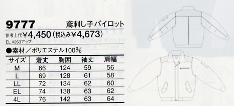 9777 鳶刺し子パイロットのサイズ画像
