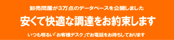 �������邢���q�l�f�X�N