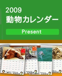 �ڥ�˥ե�����Υ�˥ե�����2009ǯ�٥�������