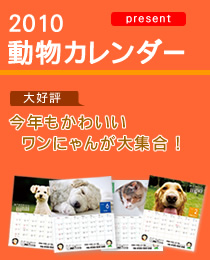 �ڥ�˥ե�����Υ�˥ե�����2009ǯ�٥�������