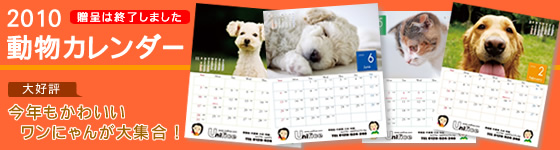 �y���j�t�H�[���̃��j�t�B�X�z2010�u�����J�����_�[�v�͂��D�]�̂��Ƒ�����I���������܂����B