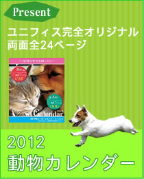 �ڥ�˥ե�����Υ�˥ե�����2012ǯ�٥�������