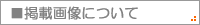 �Ǻܲ����ˤĤ���