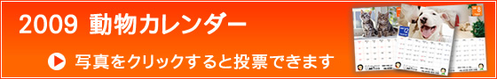 写真をクリックすると【ユニフォームのユニフィス】2009年度版・わんにゃん動物カレンダーへの投票ができます。今年はどのわんちゃん・ねこちゃんが良かったでしょうか？
