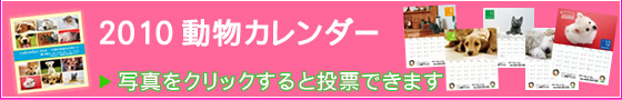 写真をクリックすると【ユニフォームのユニフィス】2010年度版・わんにゃん動物カレンダーへの投票ができます。今年はどのわんちゃん・ねこちゃんが良かったでしょうか？