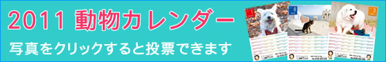 写真をクリックすると【ユニフォームのユニフィス】2011年度版・わんにゃん動物カレンダーへの投票ができます。今年はどのわんちゃん・ねこちゃんが良かったでしょうか？