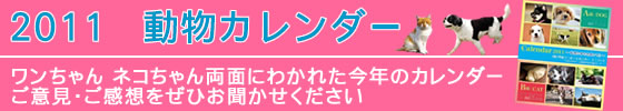 【ユニフォームのユニフィス】2011「わんにゃん動物カレンダー」。毎年大好評のわんにゃんカレンダー。パノラマサイズになった2011年度版はいかがでしたか。皆様からのご意見・ご感想をお待ちしております。