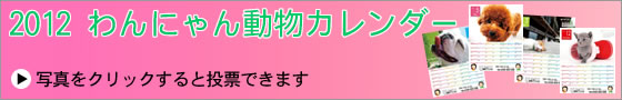 写真をクリックすると【ユニフォームのユニフィス】2012年度版・わんにゃん動物カレンダーへの投票ができます。今年はどのわんちゃん・ねこちゃんが良かったでしょうか？