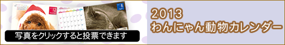 写真をクリックすると【ユニフォームのユニフィス】2013年度版・わんにゃん動物カレンダーへの投票ができます。今年はどのわんちゃん・ねこちゃんが良かったでしょうか？