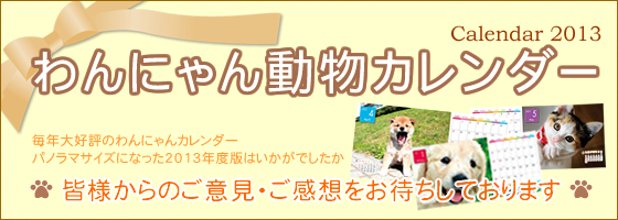 【ユニフォームのユニフィス】2013「わんにゃん動物カレンダー」。毎年大好評のわんにゃんカレンダー。パノラマサイズになった2013年度版はいかがでしたか。皆様からのご意見・ご感想をお待ちしております。