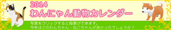 写真をクリックすると【ユニフォームのユニフィス】2014年度版・わんにゃん動物カレンダーへの投票ができます。今年はどのわんちゃん・ねこちゃんが良かったでしょうか？