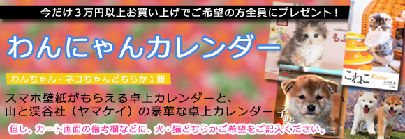 【ユニフォームのユニフィス】2021年度版「既製品カレンダー」です。
