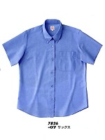 AZ7826 レディース半袖シャツ(在庫限の関連写真0
