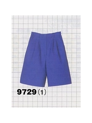 アルト TOUGH,9729,キュロットの写真です