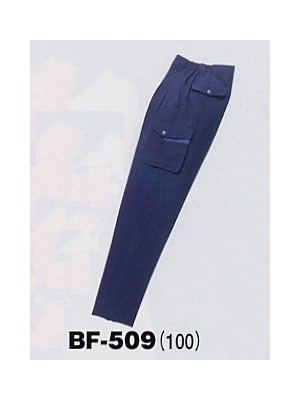 アルト TOUGH,BF509,女子カーゴパンツの写真は2025最新カタログ66ページに掲載されています。