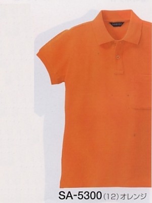 アルト TOUGH,SA5300,半袖レディースポロシャツの写真は2009最新カタログ126ページに掲載されています。