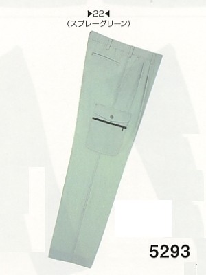 ビッグボーン ｂｉｇｂｏｒｎ,5293,ツータックカーゴパンツの写真は2009最新カタログ129ページに掲載されています。