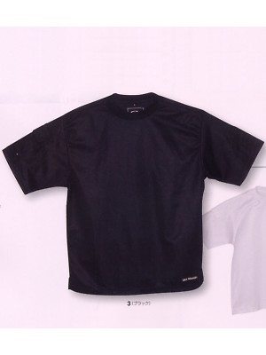 ビッグボーン ｂｉｇｂｏｒｎ,GW356,半袖Tシャツ(12廃番)の写真は2009最新カタログ142ページに掲載されています。