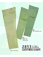 2853 ツータックカーゴパンツの関連写真1