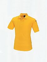 305 半袖ポロシャツの関連写真0