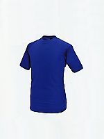 315 半袖Tシャツ(廃番)の関連写真0