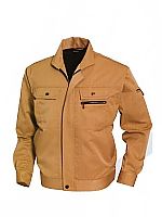 8051 ジャケットの関連写真0