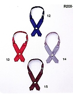 R200 リボンの関連写真2