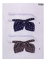 R580 リボンの関連写真1