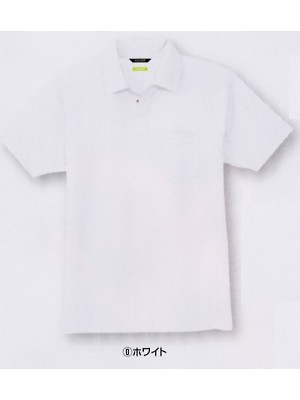 コーコス CO-COS,A117,半袖ポロシャツ(13廃番)の写真は2009最新カタログ15ページに掲載されています。