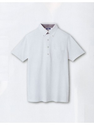 コーコス CO-COS,A277,ビズポロ半袖の写真は2025最新カタログ221ページに掲載されています。