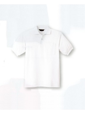 コーコス CO-COS,K317,半袖ポロシャツの写真は2009最新カタログ195ページに掲載されています。