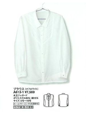 ＦＯＬＫ（フォーク）　ＮＵＯＶＯ(ヌーヴォ),A613,ブラウスの写真です