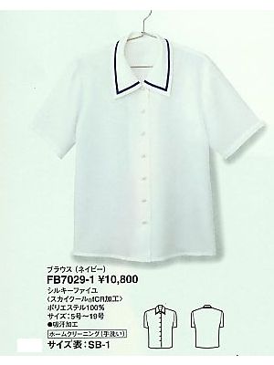 ＦＯＬＫ（フォーク）　ＮＵＯＶＯ(ヌーヴォ),FB7029,ブラウスの写真です