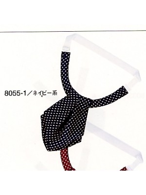 ハネクトーン Counter Biz(カウンタービズ),8055,アスコットタイの写真は2024最新カタログ11ページに掲載されています。