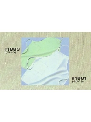 ソルディ ＳｕｎＤｉｓｋ [日の丸繊維],1881,無塵エプロンの写真です