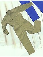 702 ツナギ(アースカーキ)の関連写真0