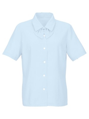 サーヴォ GROW(グロウ) LAND [イスト],BL267,半袖ブラウス(14廃番)の写真です