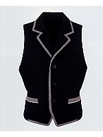 AAH192 ベストの関連写真0