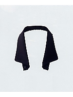 AAZ201 替え衿の関連写真0