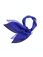 EAZ352 スカーフの関連写真0