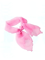 EAZ353 スカーフの関連写真0